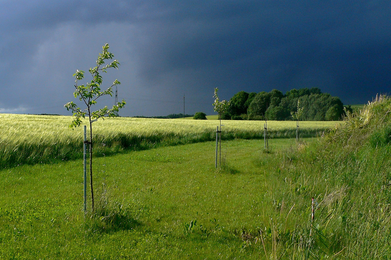 Gleich kommt das Gewitter