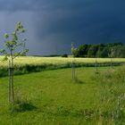 Gleich kommt das Gewitter