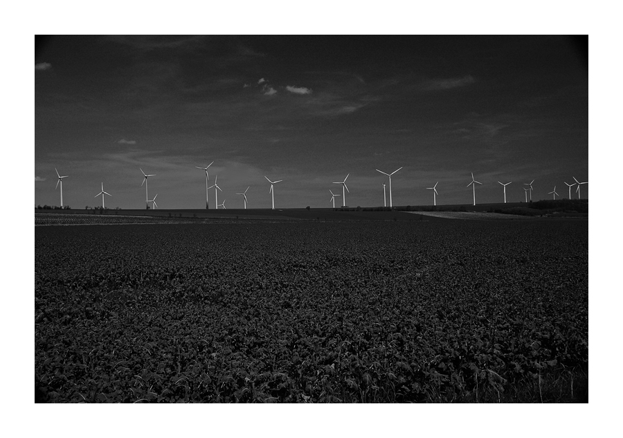 Gleich kommt der Wind