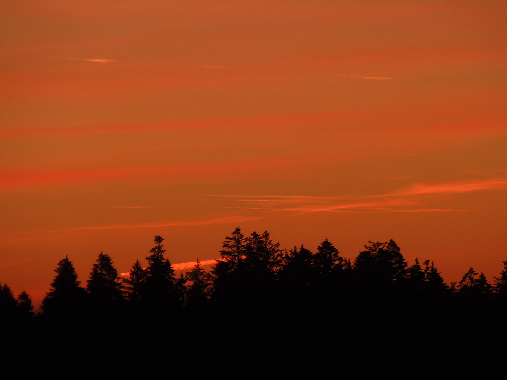 ....gleich kommt sie ......die Sonne....