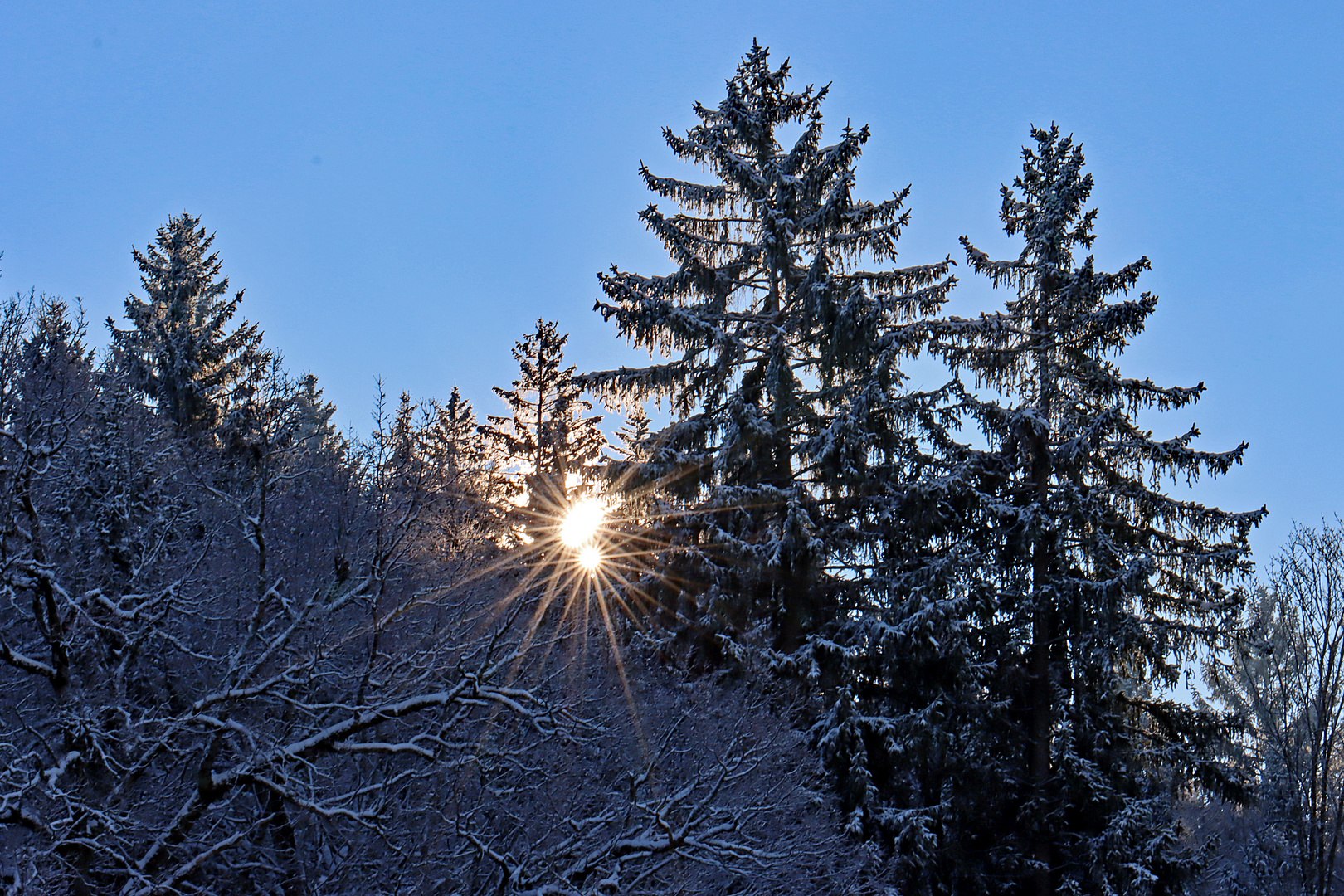 Gleich mehrere Sonnensterne scheinen herunter