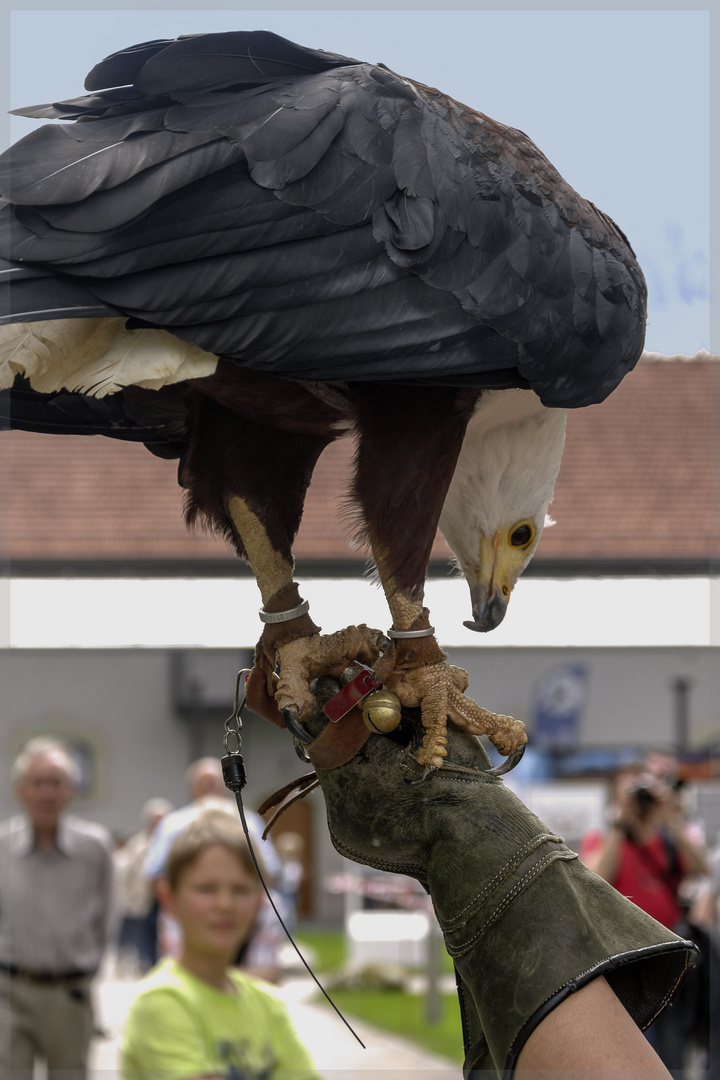 Gleich muss ich losfliegen.