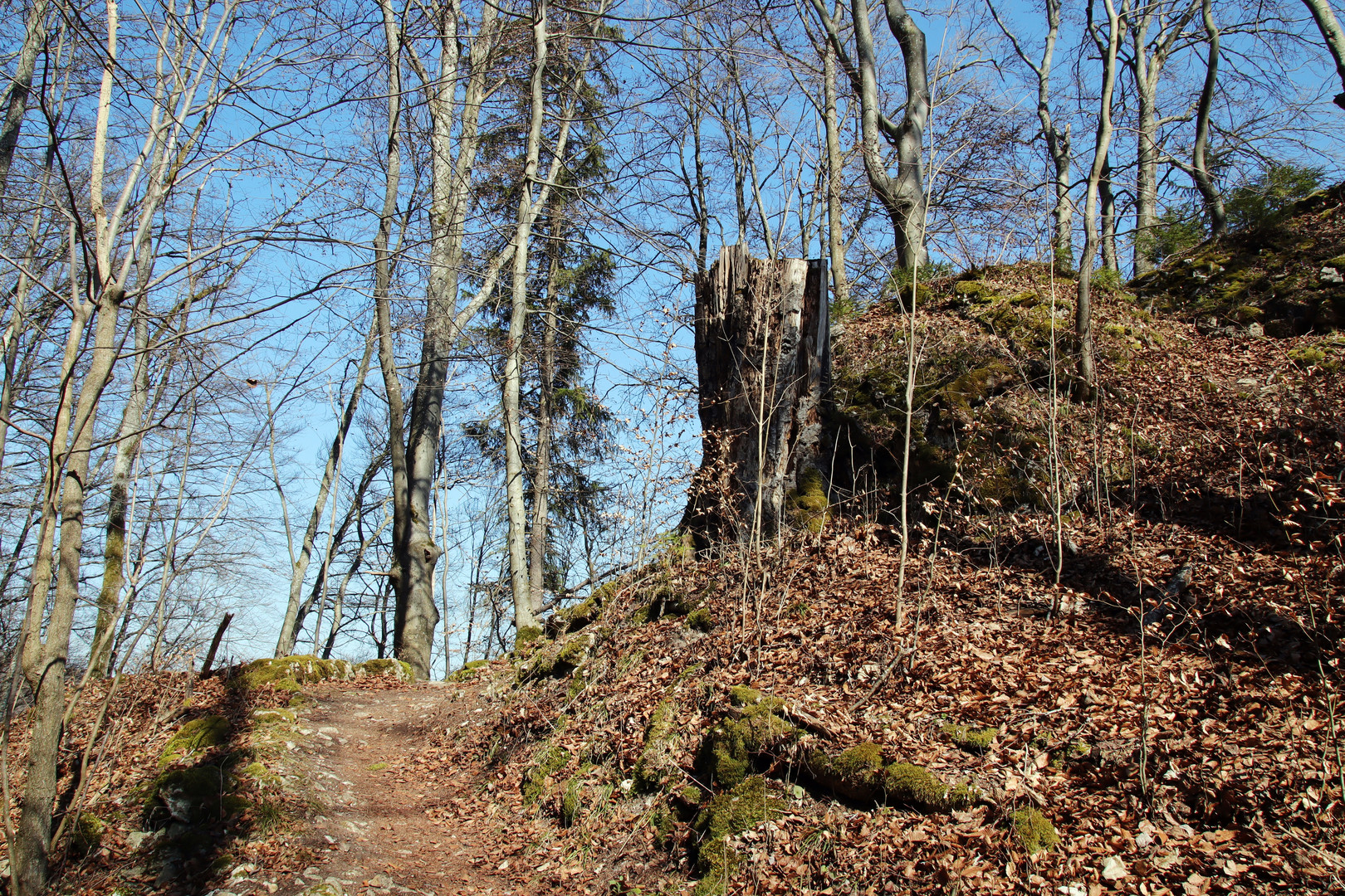 gleich oben