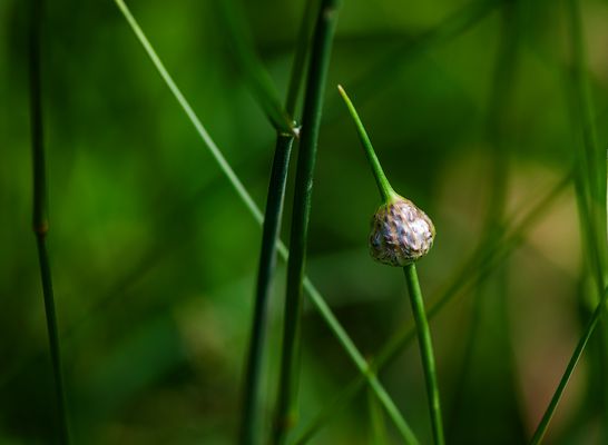 ...gleich platze ich...