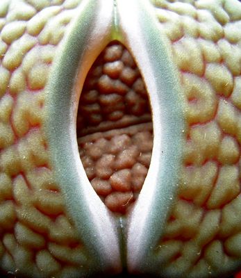 >>>/// gleich schnapp ich zu