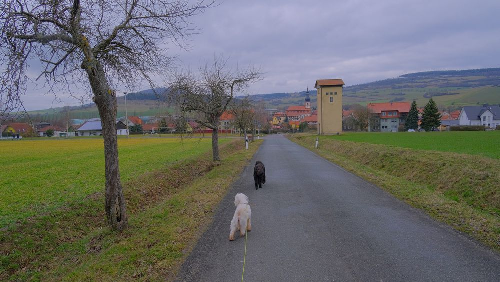 gleich sind wir zu Hause (pronto estamos en casa)