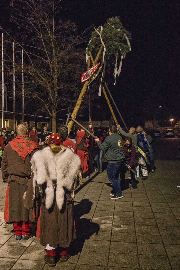 gleich steht er - der Narrenbaum