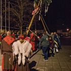 gleich steht er - der Narrenbaum