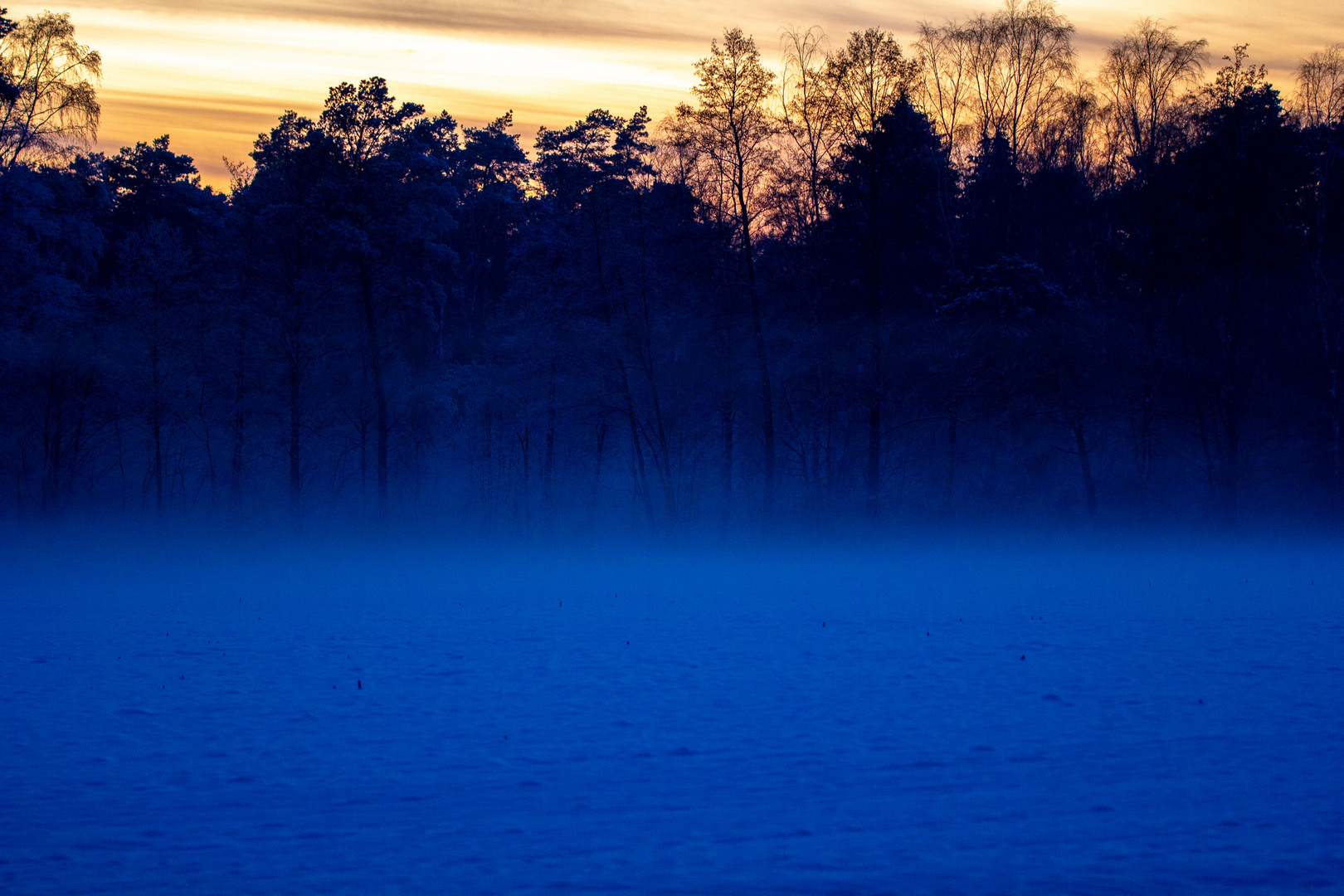 gleich streift der Wolf durch den Nebel