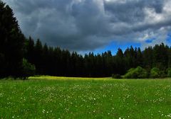 gleich vorbei mit Sonnenschein