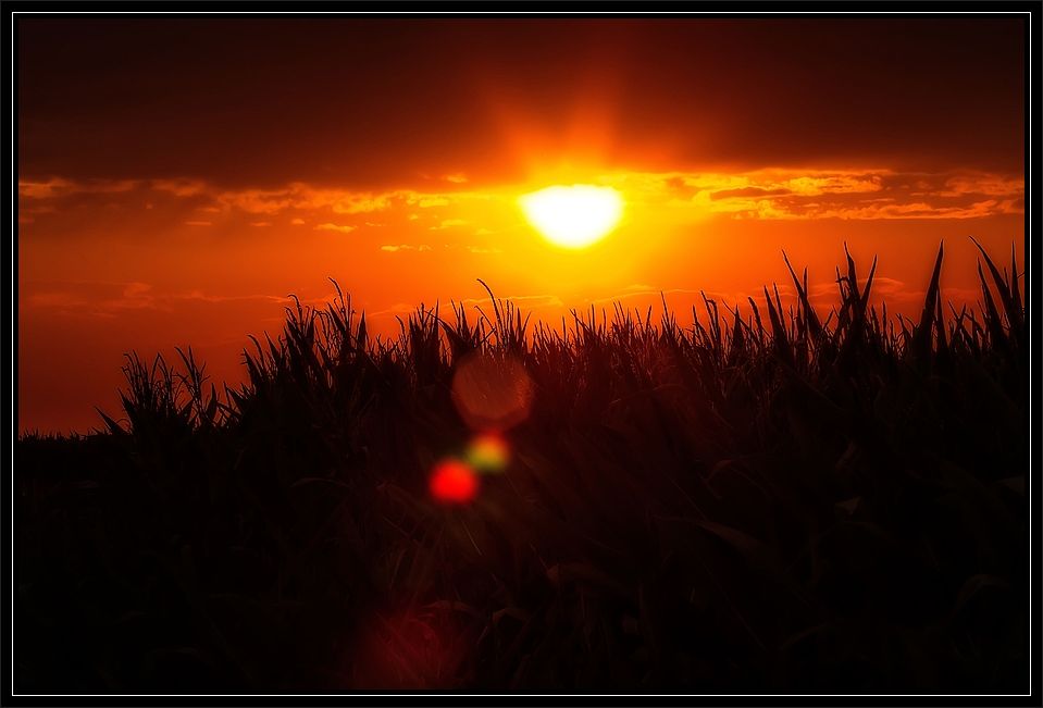 "Gleich wird's Nacht" um 8 Uhr Abends