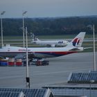 Gleich zwei seltene Gäste in Muc