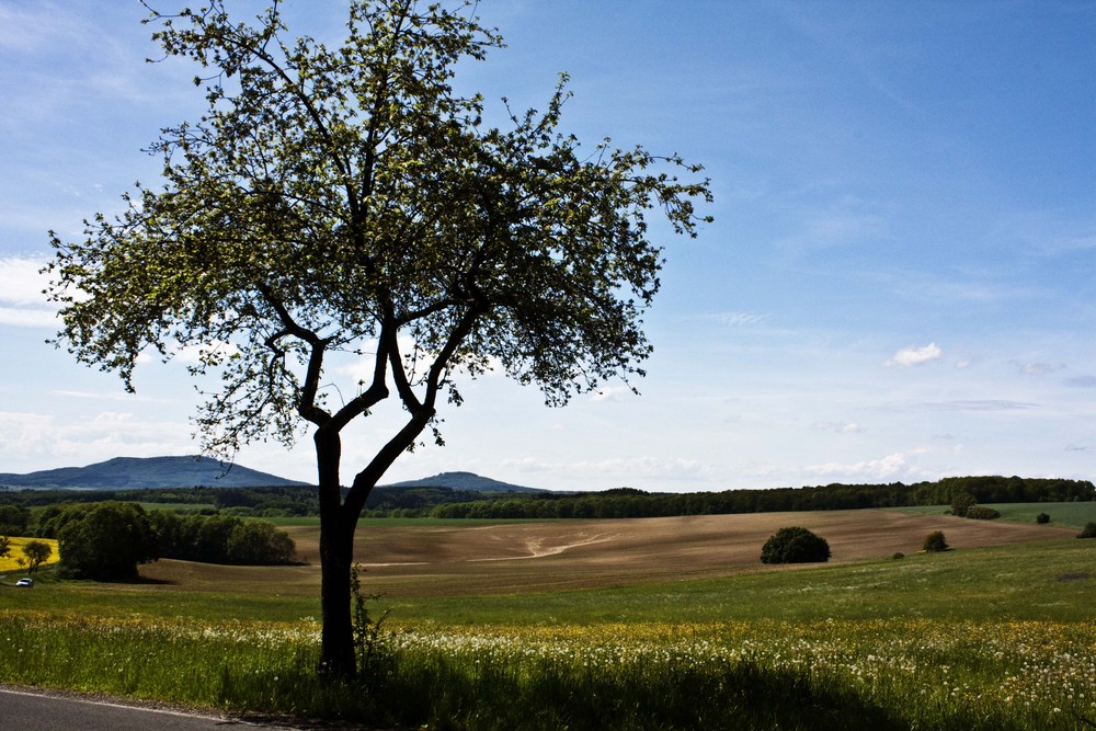 Gleichberge