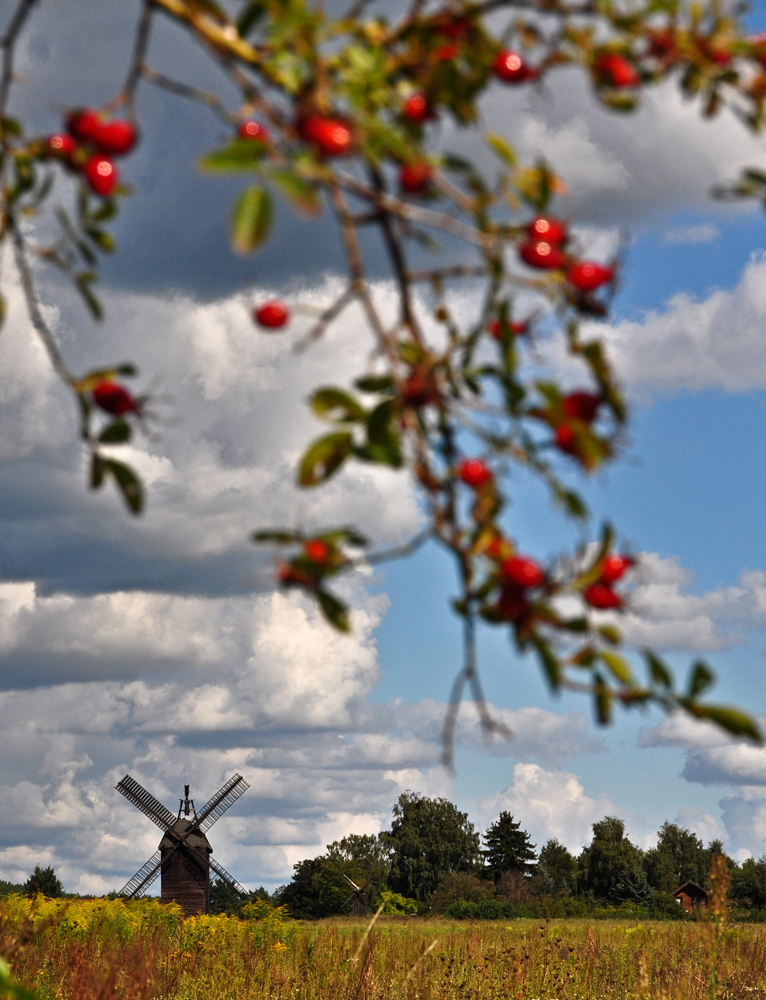 gleiche Stelle - ganze Mühle