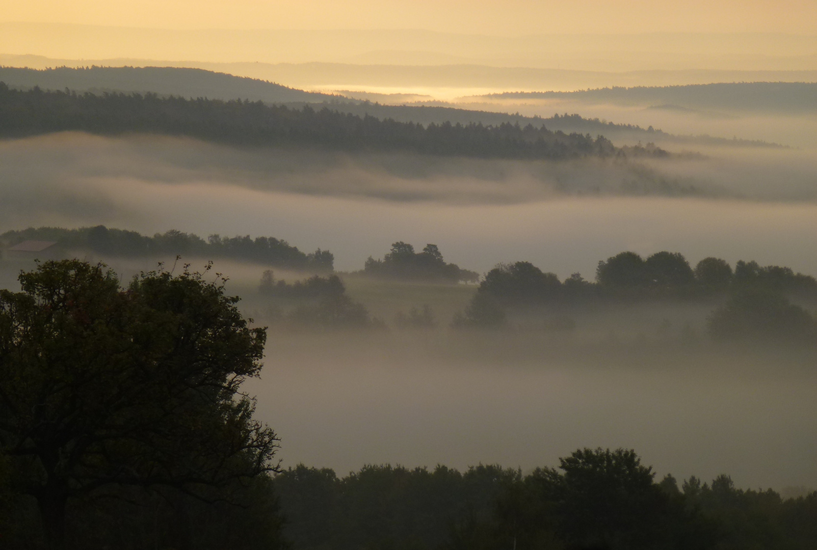 Gleicher Ort, anderer Tag - die Rhön im Herbstnebel II