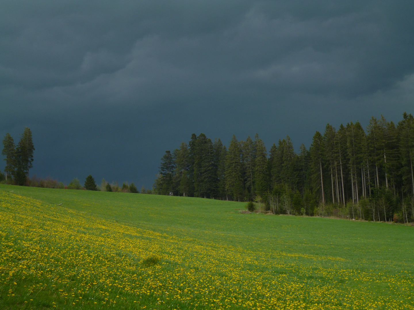 Gleich_gehts_los