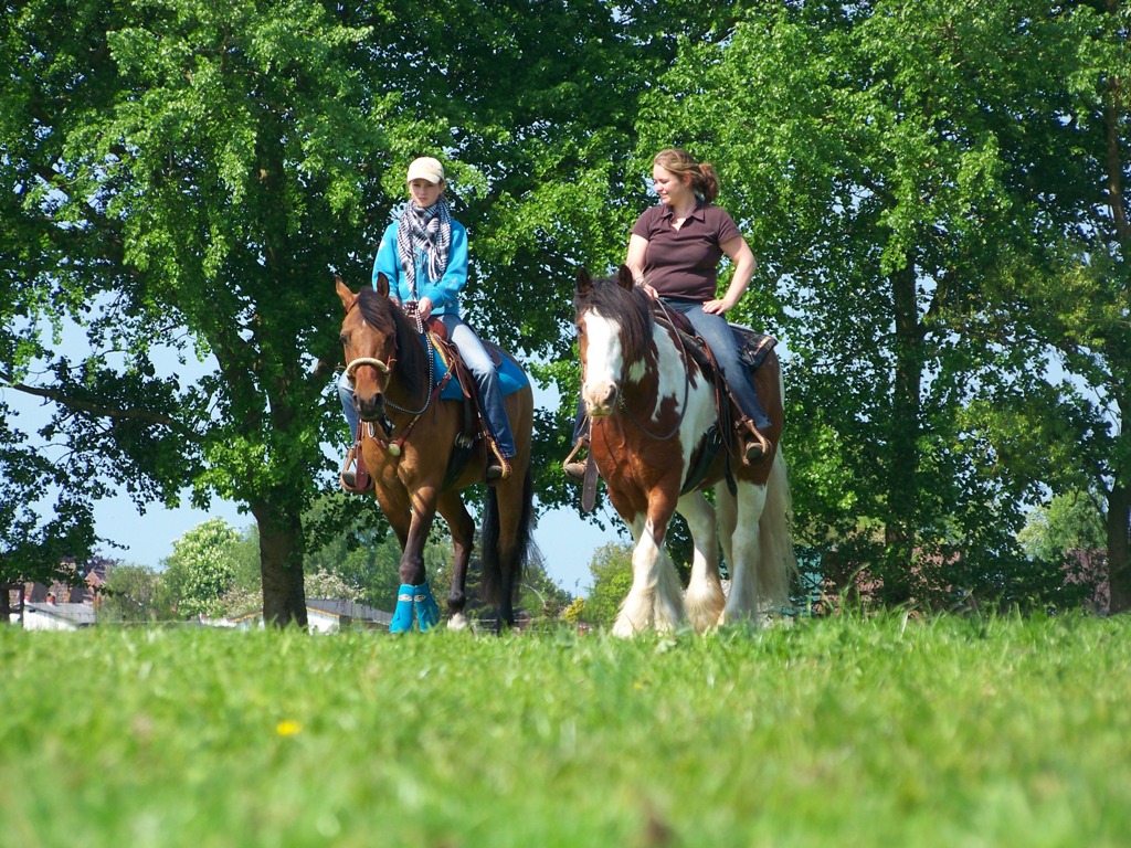 Gleichschritt