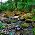 Gleierbach im Schmallenberger Sauerland