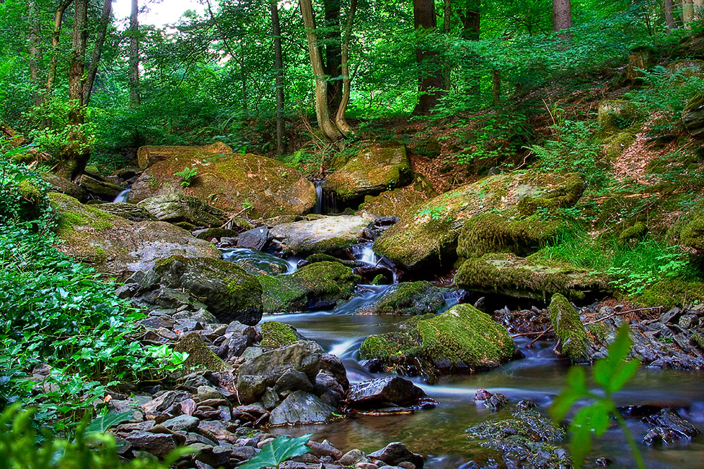 Gleierbach im Schmallenberger Sauerland