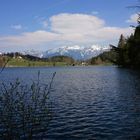 Gleinkersee mit Blick aus das Sengsengebirge