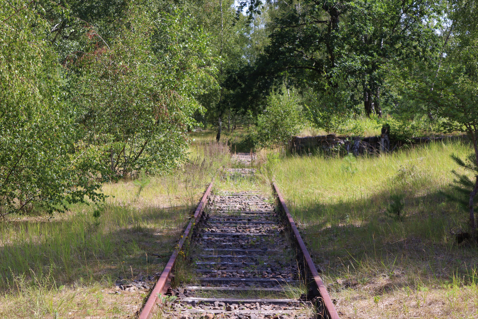 Gleis der Vergangenheit