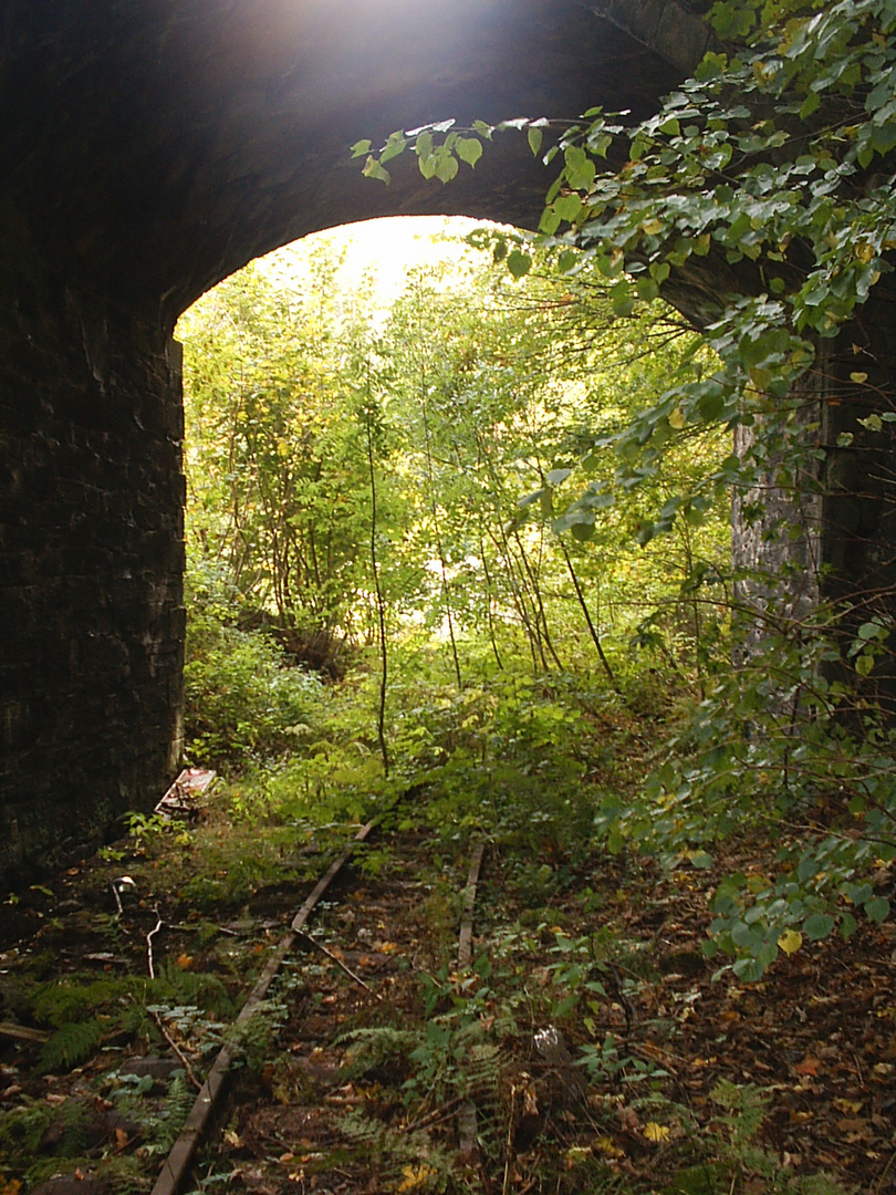 Gleis im Grünen