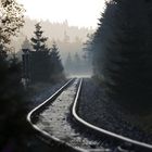 Gleise der Brockenbahn im Morgenlicht