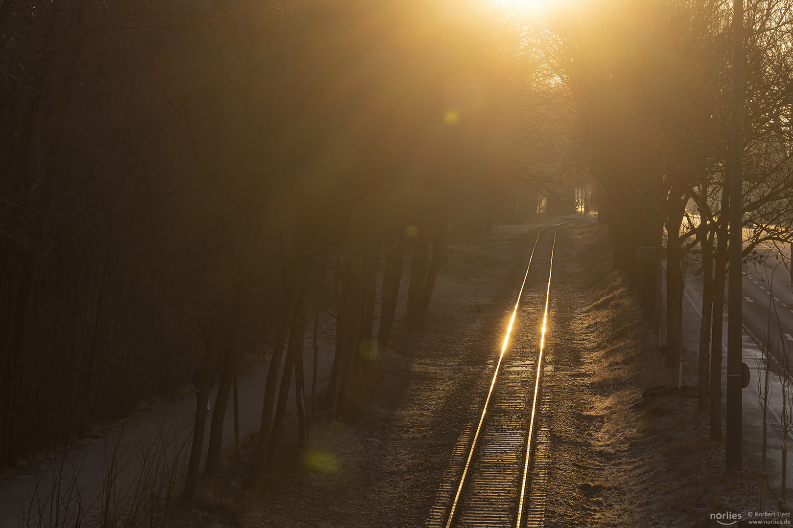 Gleise im Gegenlicht