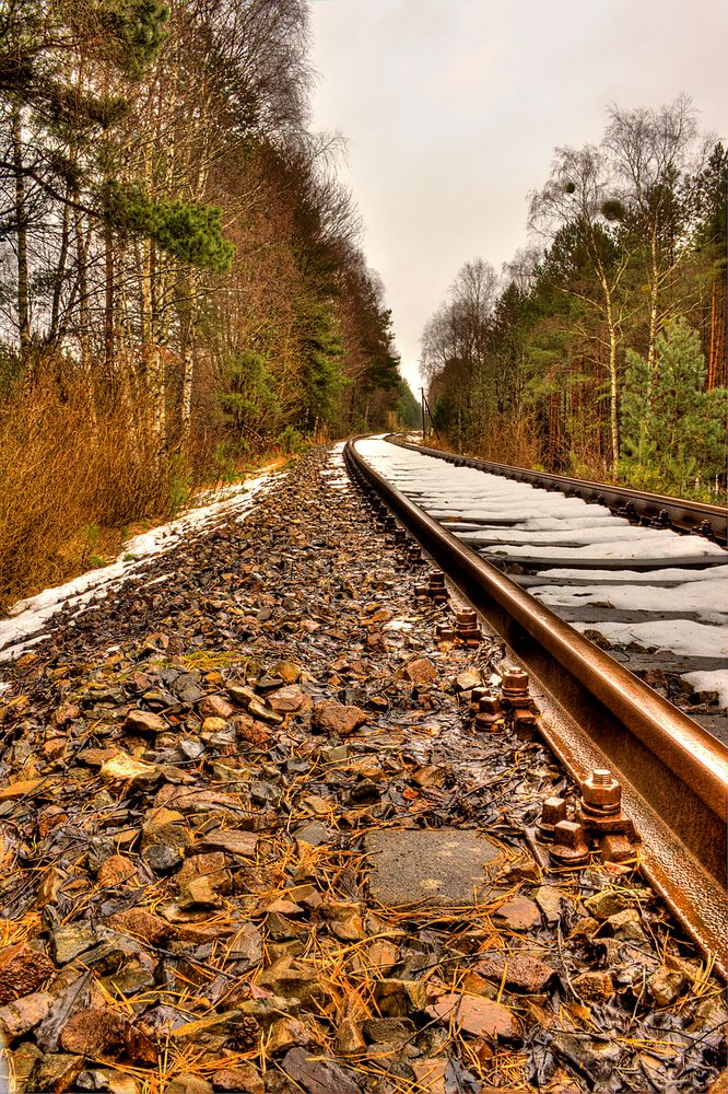 Gleise im Wald (HDR)