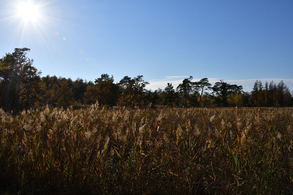 Gleißende Sonne