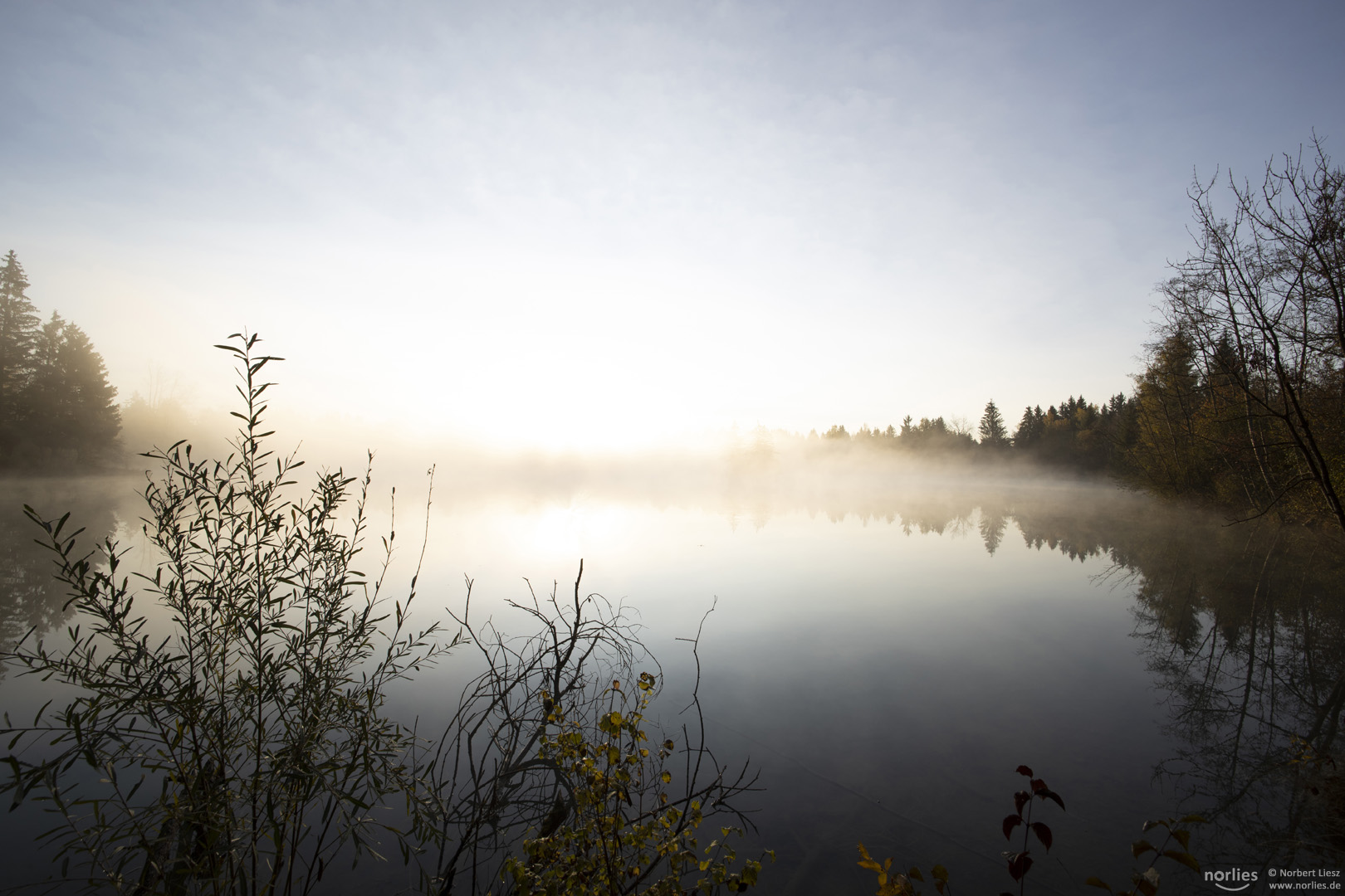 Gleißendes Licht am See