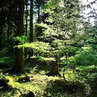 Gleißendes Licht bricht den Schatten