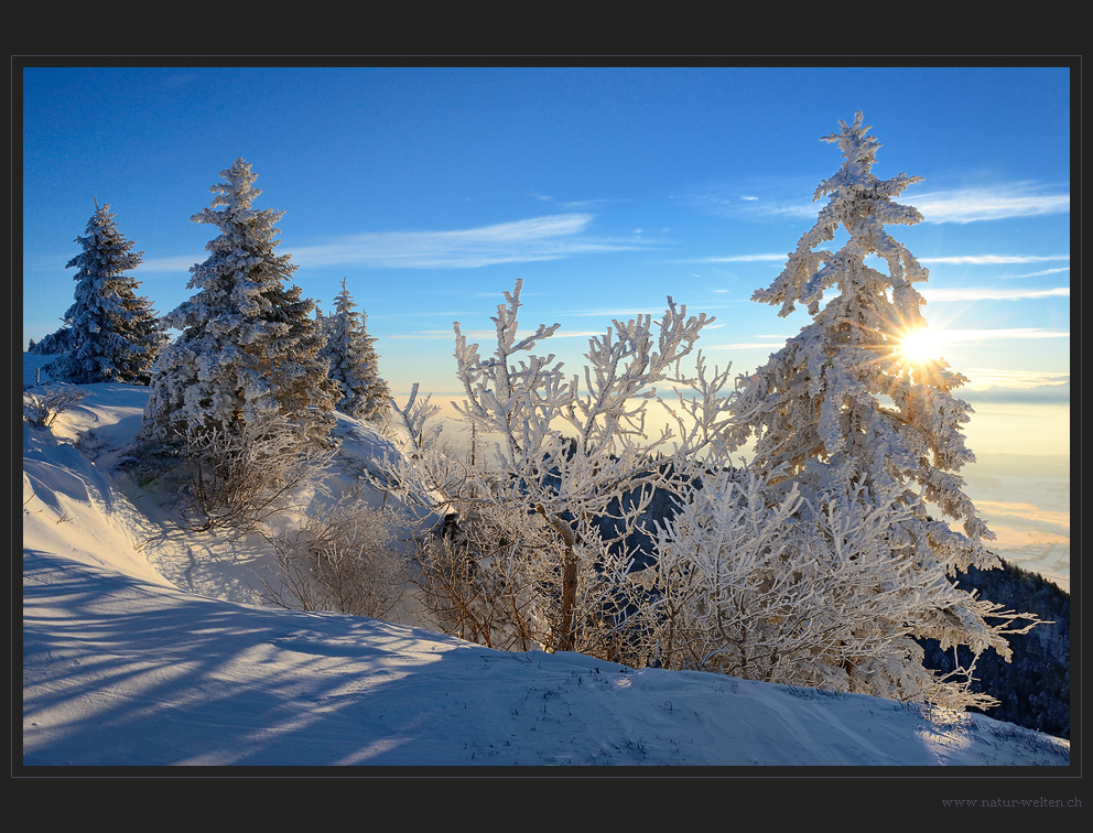 Gleissendes Sonnenlicht