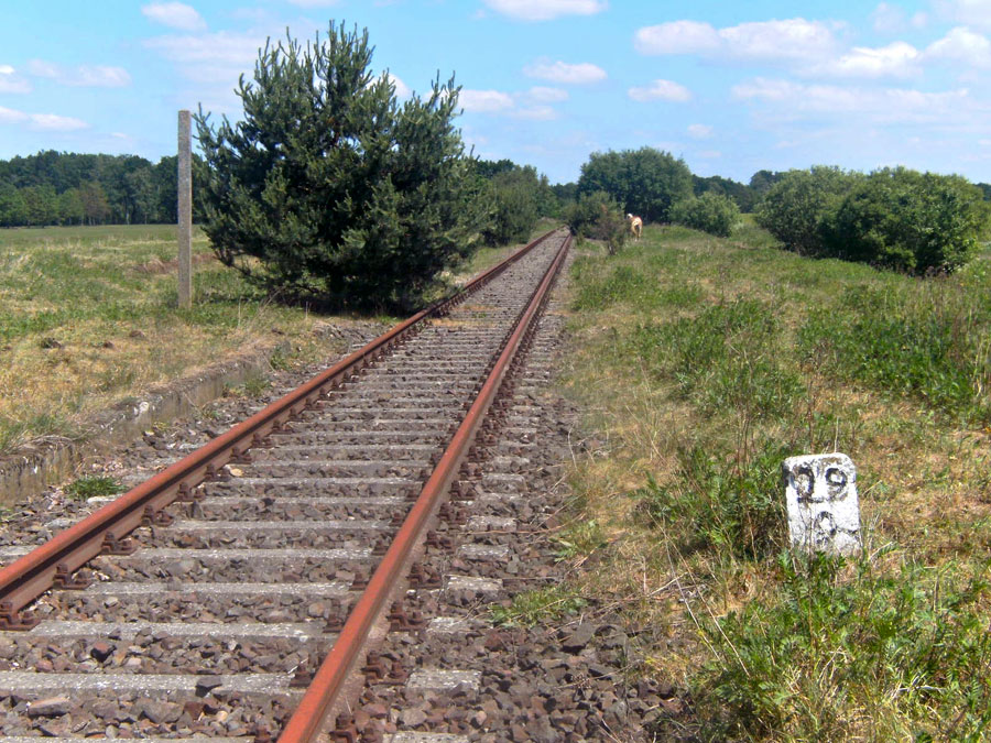 Gleisüberprüfung und -begutachtung in Harpe, 03.06.2011