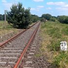 Gleisüberprüfung und -begutachtung in Harpe, 03.06.2011