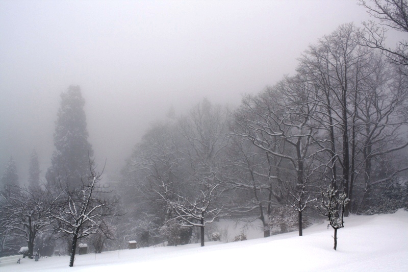 gleisweiler im winter