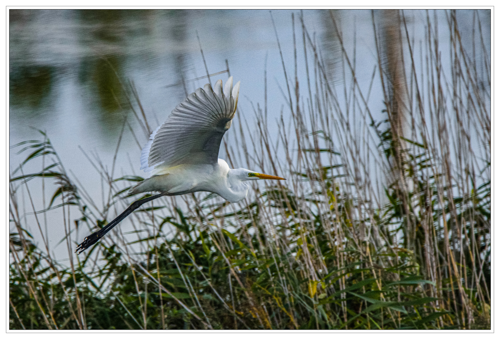 Gleitflug