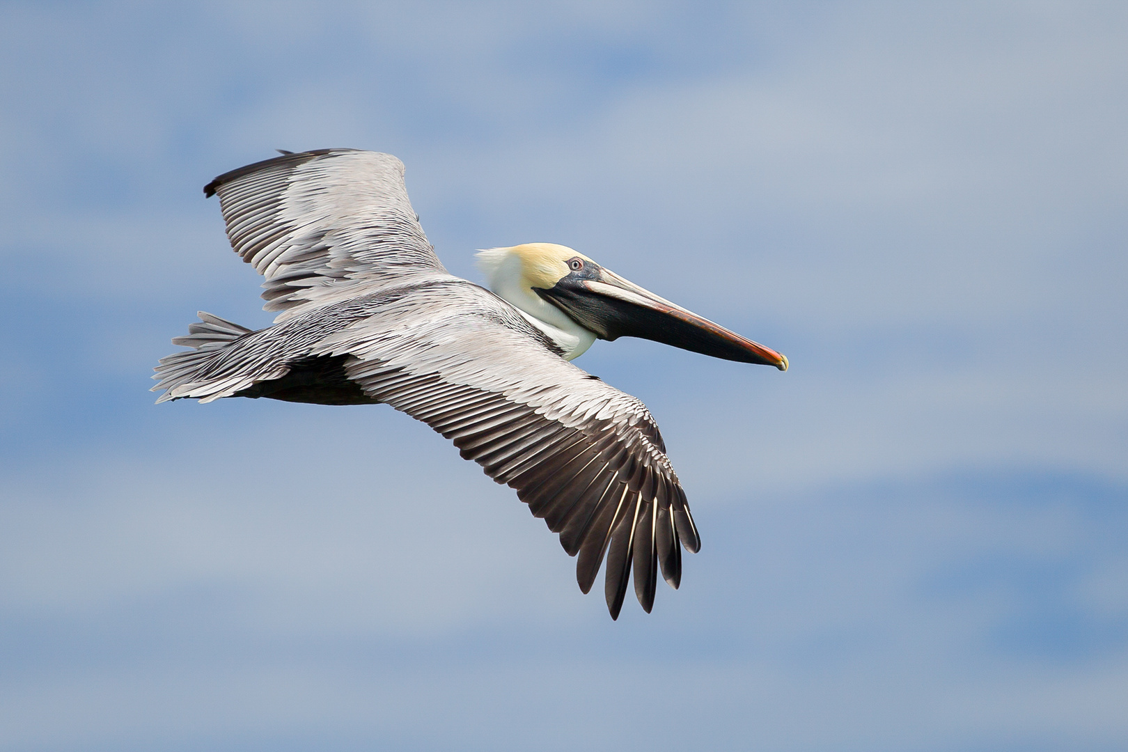 Gleitflug