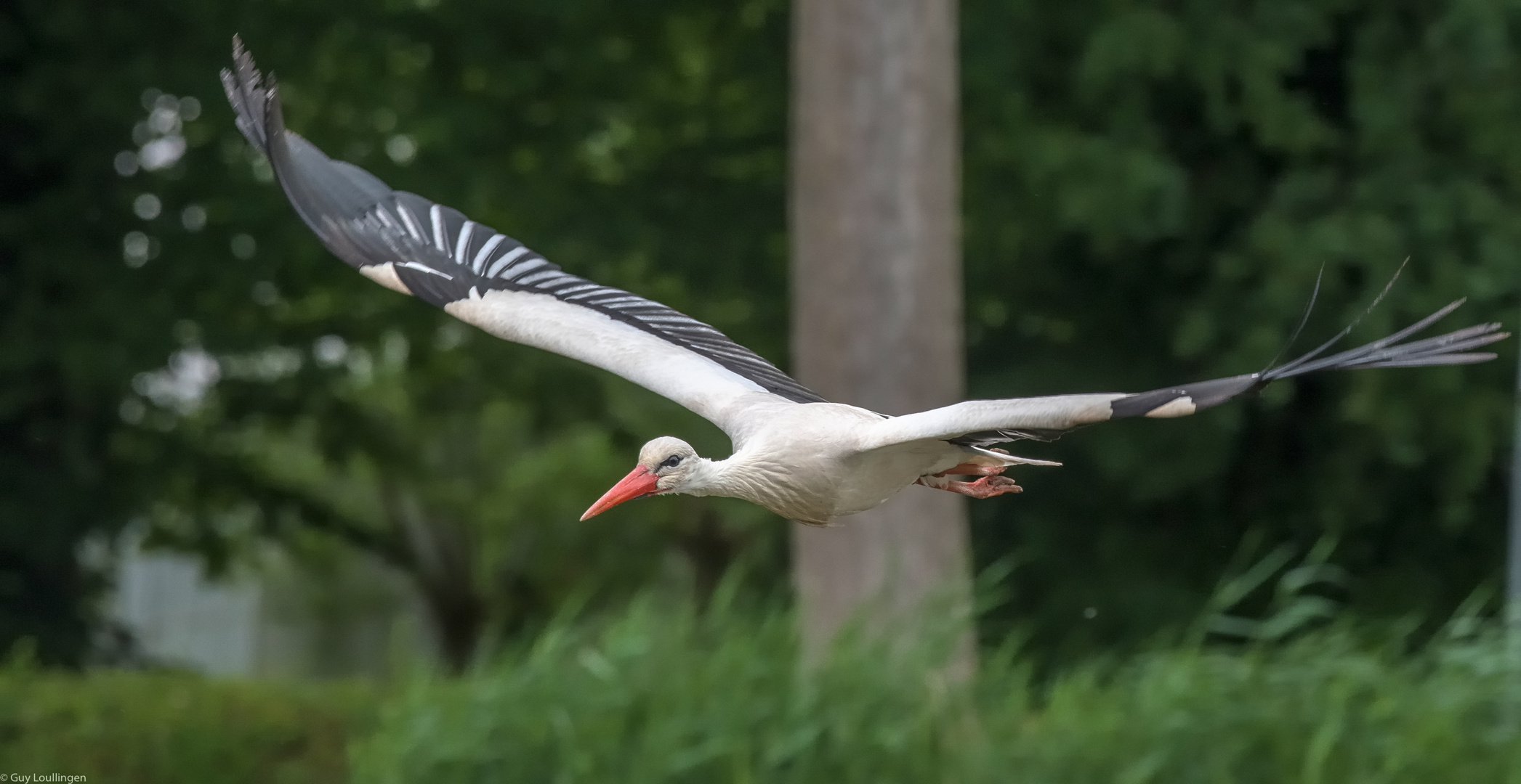 Gleitflug