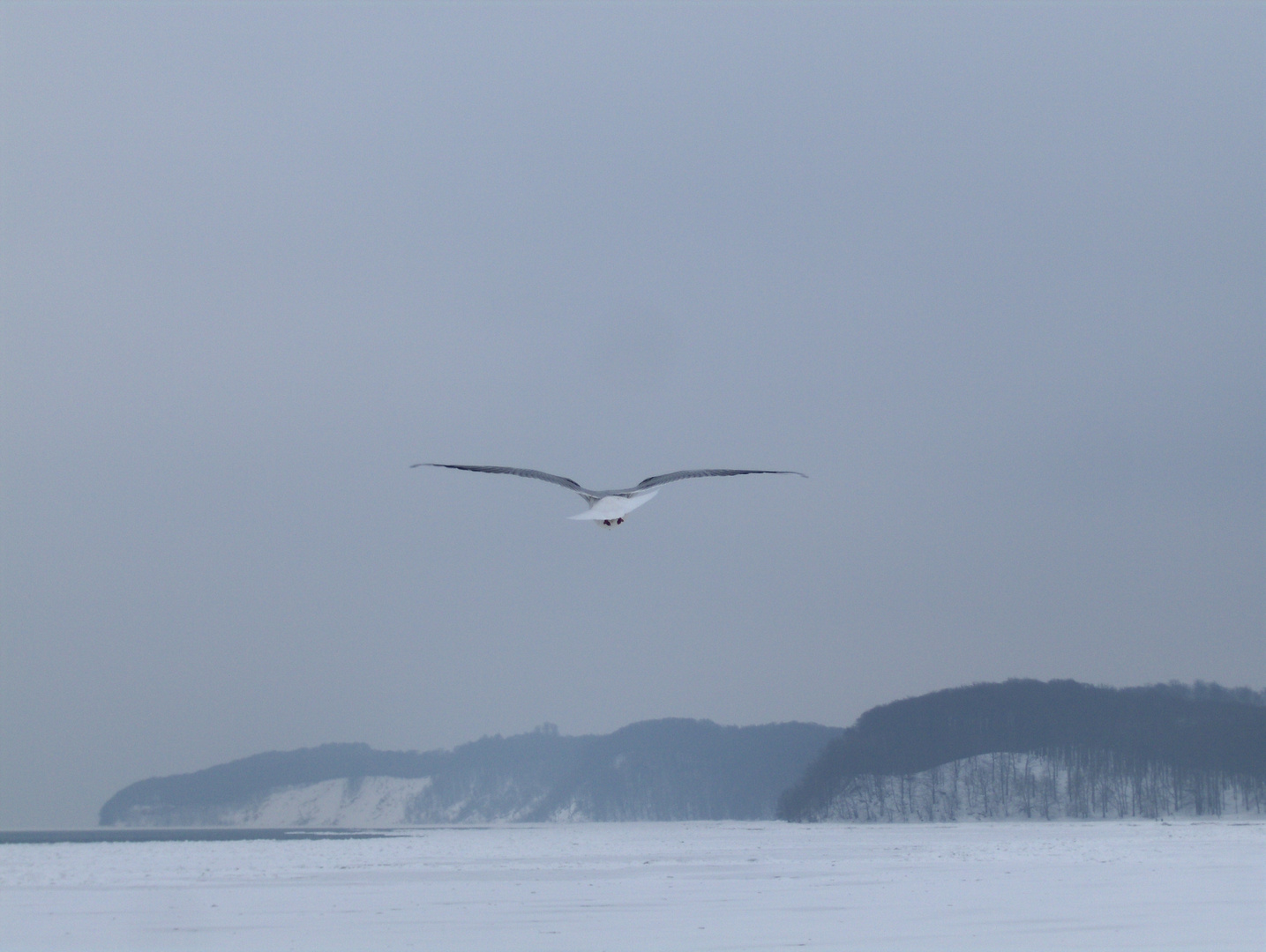 Gleitflug bei Minusgraden