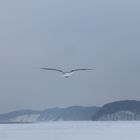 Gleitflug bei Minusgraden