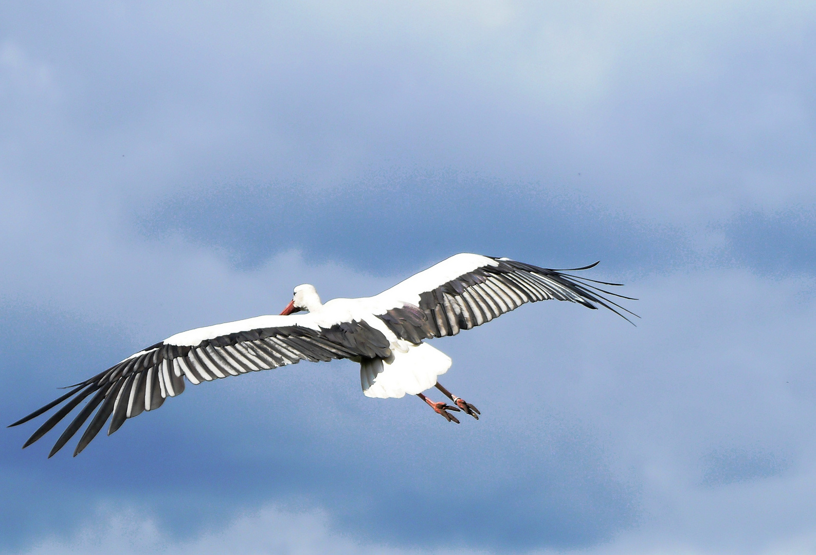 Gleitflug