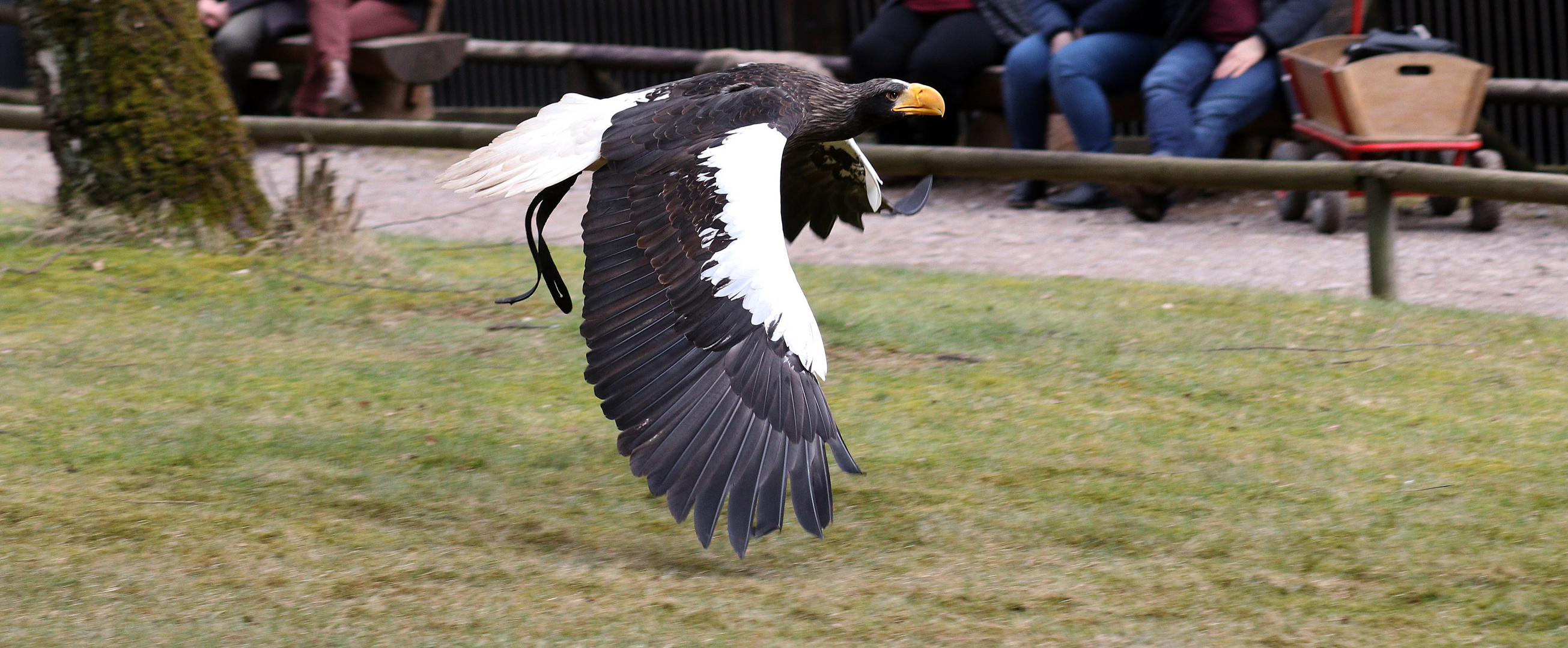 Gleitflug...