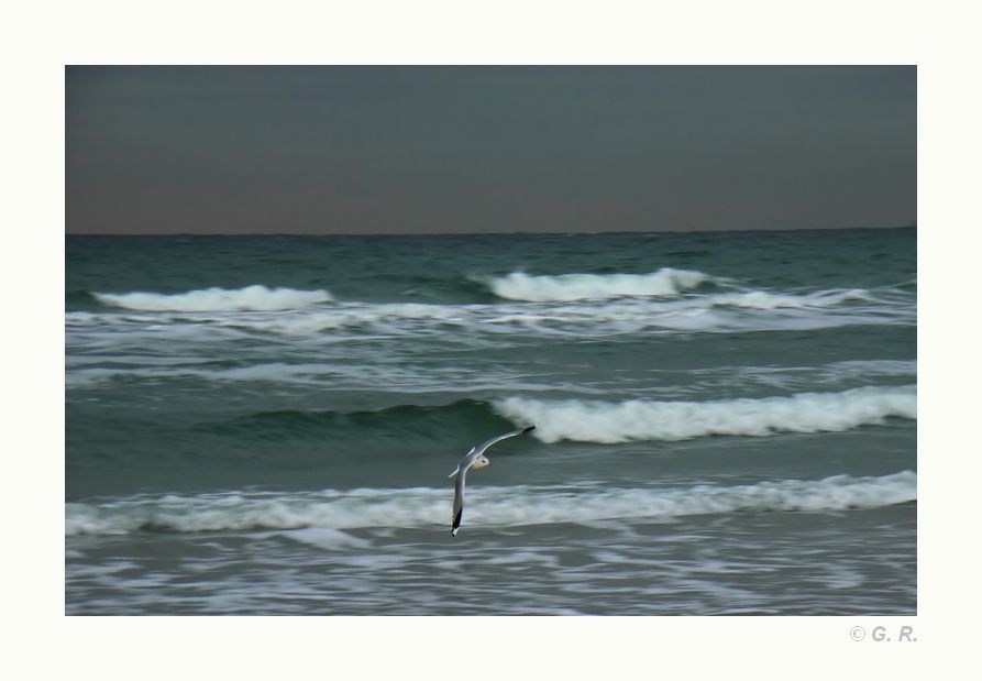 Gleitflug über Warnemünde,