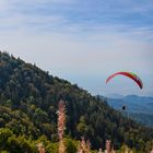 Gleitschirm fliegen überm Kandel-3