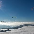 Gleitschirme auf der Wasserkuppe