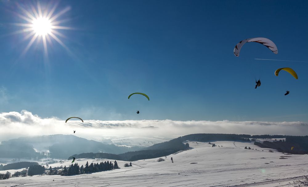 Gleitschirme auf der Wasserkuppe