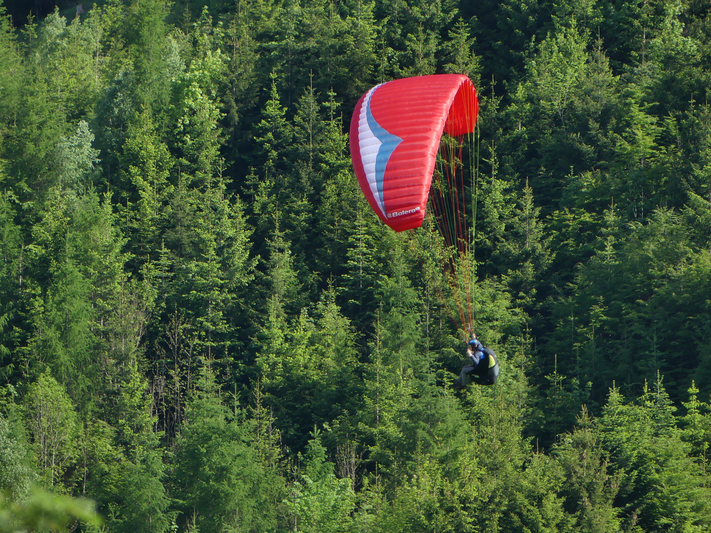 Gleitschirmflieger (4)