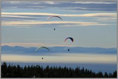 Gleitschirmflieger