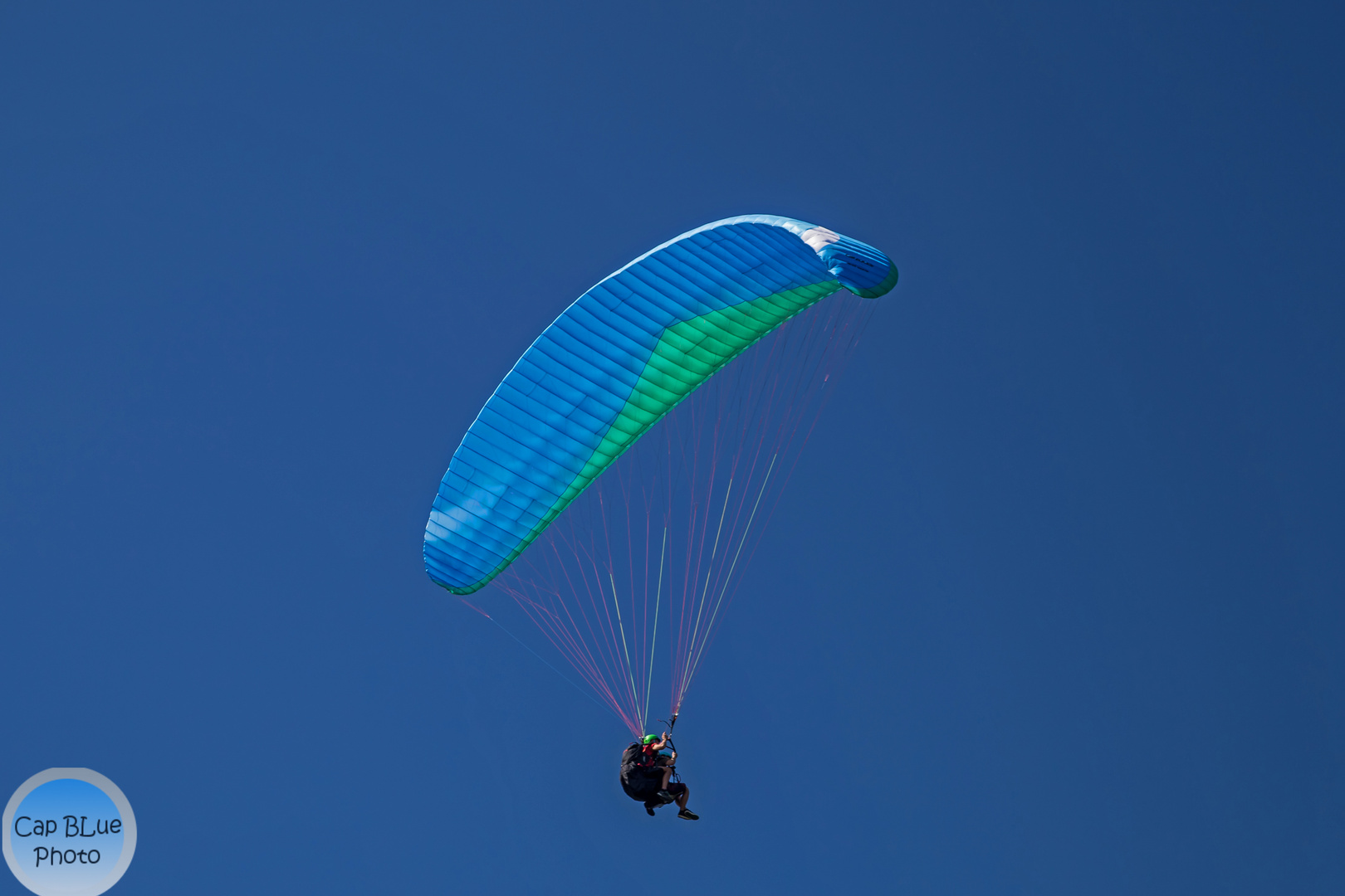 Gleitschirmflieger Nähe Rossbühl / Zuflucht Mittelschwarzwald